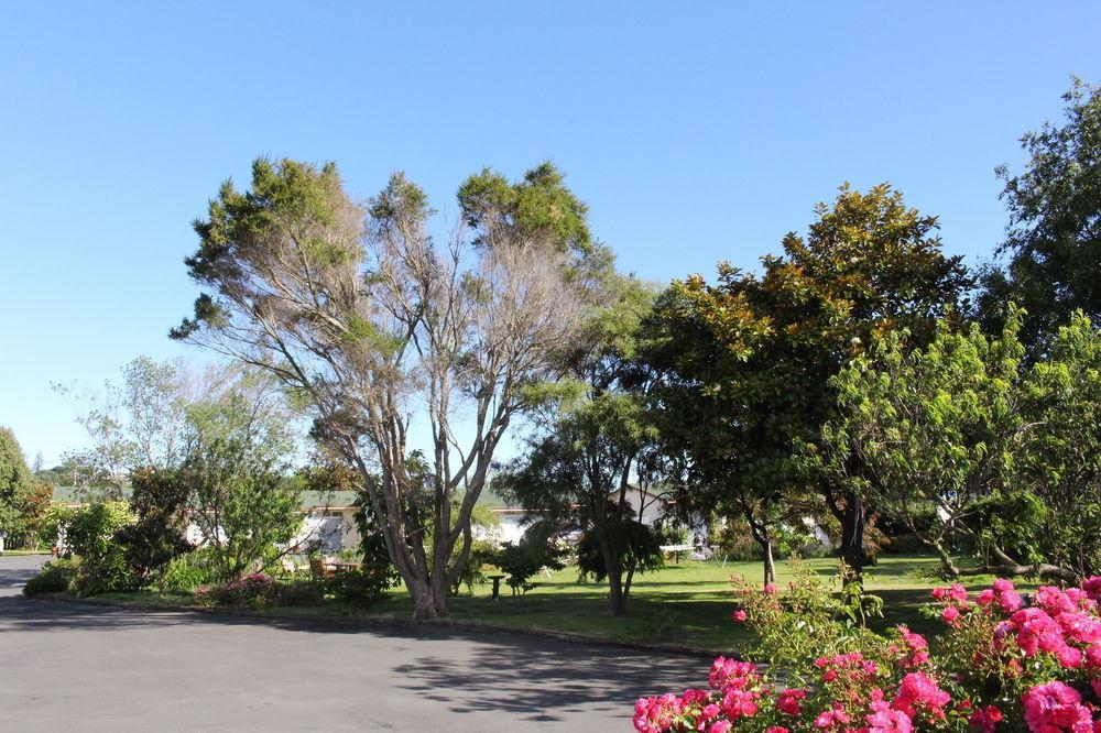 Astral Motel Whanganui Exterior foto